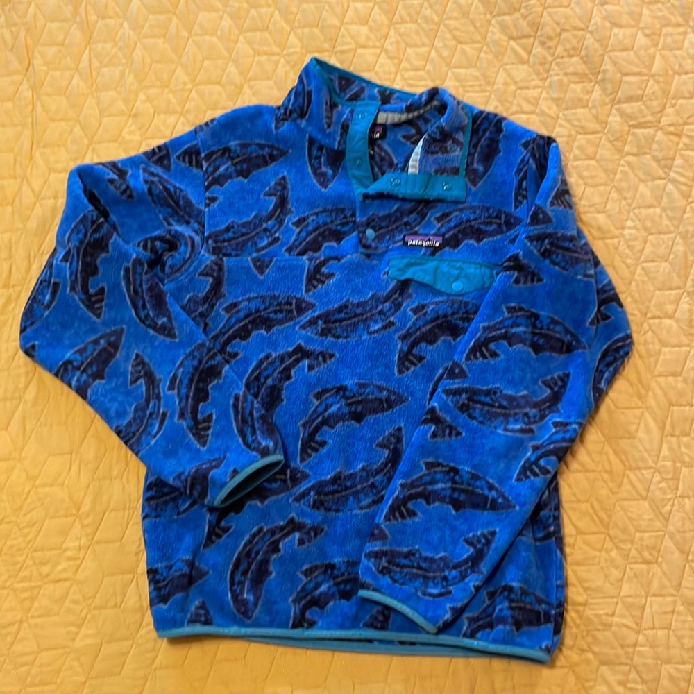 Patagonia Synchilla fleece Leaping Oasis